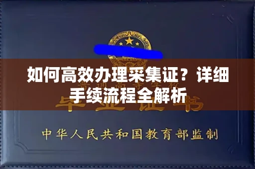 东莞如何高效办理采集证?详细手续流程全解析