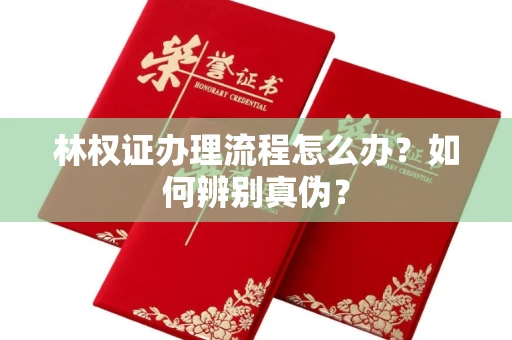 东莞林权证办理流程怎么办?如何辨别真伪?