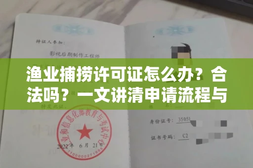 东莞渔业捕捞许可证怎么办?合法吗?一文讲清申请流程与合规要点